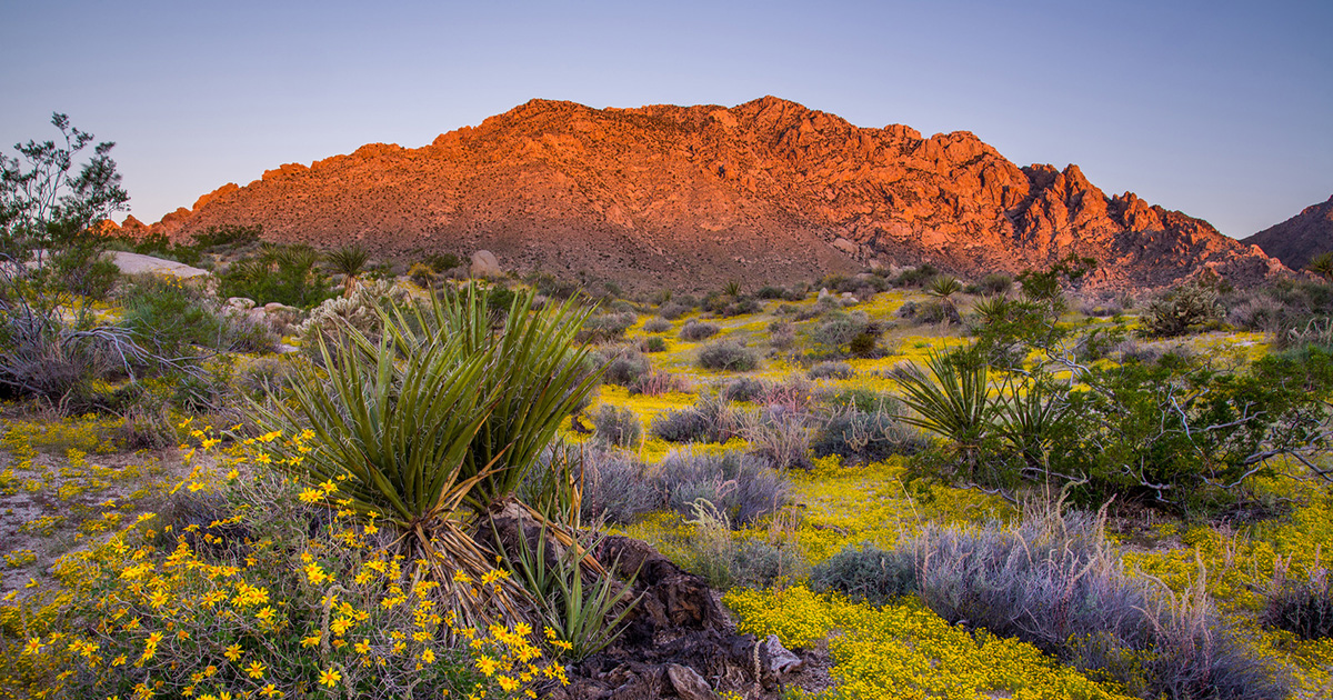 Spirit Mountain is a NEW National Monument