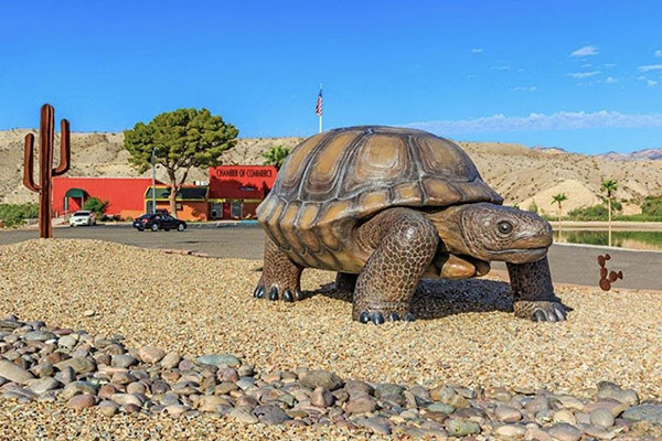 Desert Tortoises